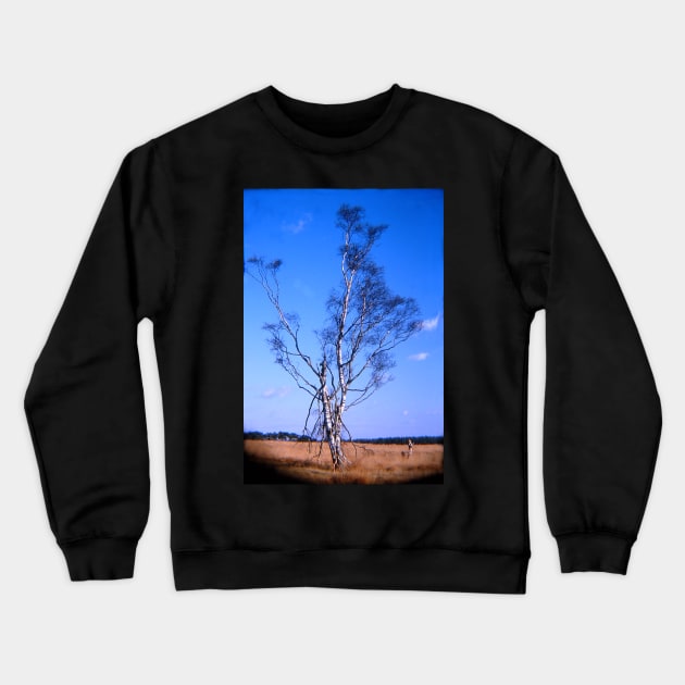 Birch-tree Crewneck Sweatshirt by robelf